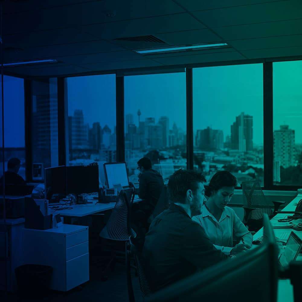 Customized IT Project Management Services