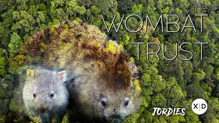 Two wombats in lush greenery